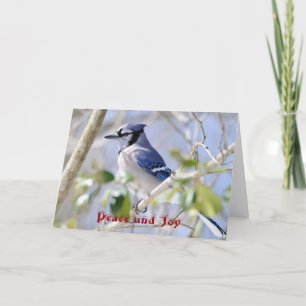 Seasons Greetings, Peace and Joy Holiday Card