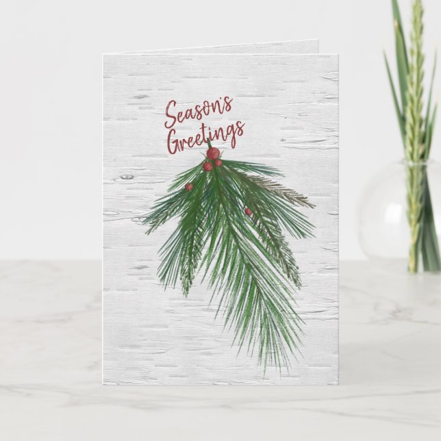 Season's Greetings Pine On Birch  Holiday Card (Front)