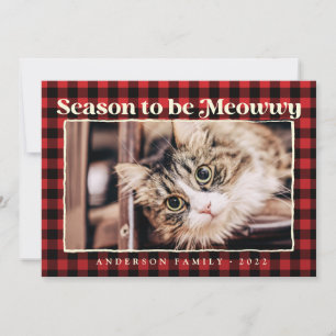 Season's Greetings Plaid Funny Pet Cat Photo Holiday Card