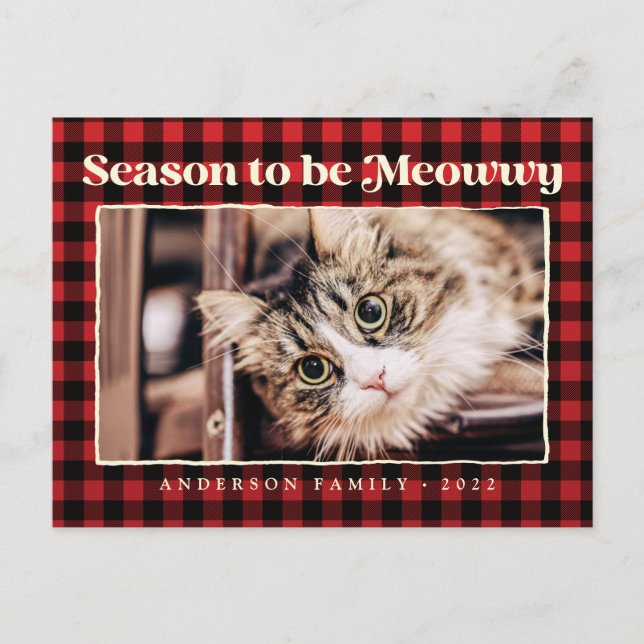 Season's Greetings Plaid Funny Pet Cat Photo Holiday Postcard (Front)