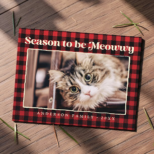Season's Greetings Plaid Funny Pet Cat Photo Holiday Postcard