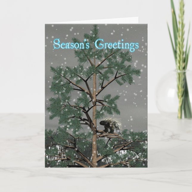 Season's Greetings - Porcupine In A Pine Tree Holiday Card (Front)