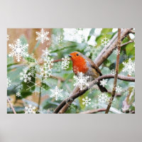 Season's Greetings!