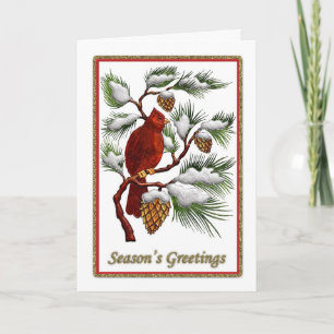 Season's Greetings - Red Cardinal with Pine Cones Holiday Card