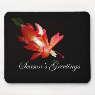Season's Greetings Red Christmas Cactus Mouse Mat