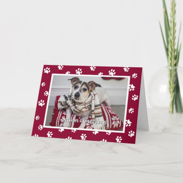 Season's Greetings! Red White Paw Prints Dog Photo Holiday Card (Front)