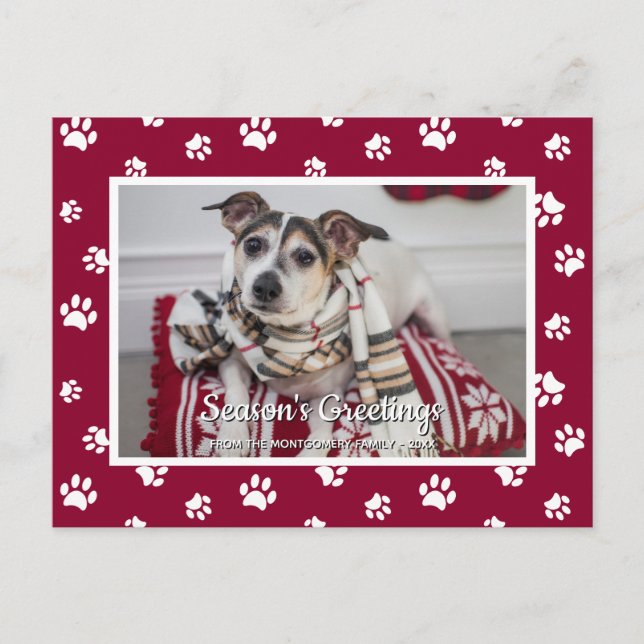 Season's Greetings! Red White Paw Prints Dog Photo Holiday Postcard (Front)