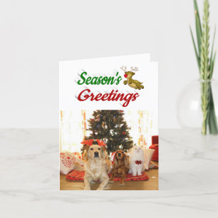 Seasons Greetings Reindeer Christmas Photo script Holiday Card
