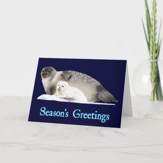 Season's Greetings - Ringed Seal Holiday Card (Front)