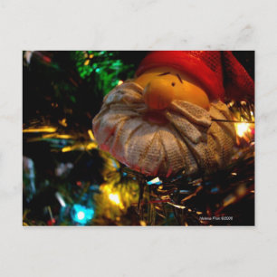 Season's Greetings Santa Ornament Photo Postcard