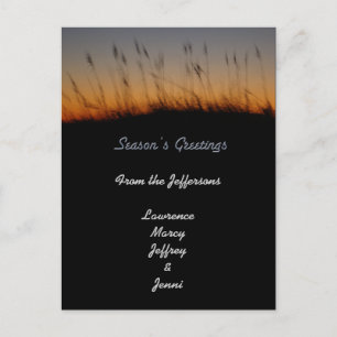 Season's Greetings Sea Oats and Dunes at Sunset Holiday Postcard