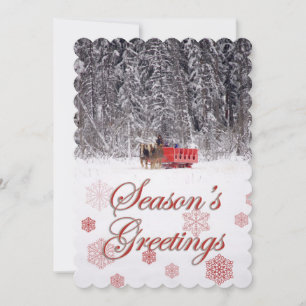Season's Greetings - Sleigh rides at Stables Holiday Card