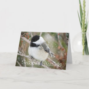 Season's Greetings Snowy Chickadee Holiday Card