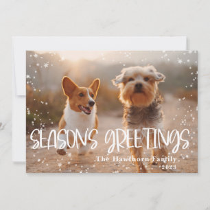 Season's Greetings Snowy Frame Photo Holiday Card