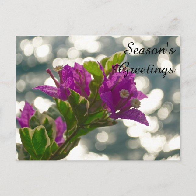 Season's Greetings Spring Flowers Bokeh Postcard (Front)
