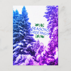 SEASONS GREETINGS TREES PURPLE POSTCARD