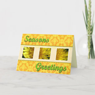 Season's greetings wild dandelion flowers holiday card