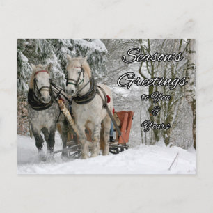 Season's Greetings Winter Horses Postcard