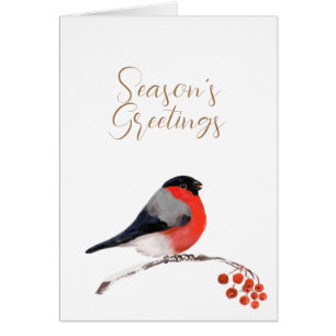 Seasons greetings with redcrested Bullfinch Card