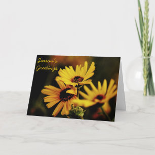 Season's Greetings Yellow Daisy Card