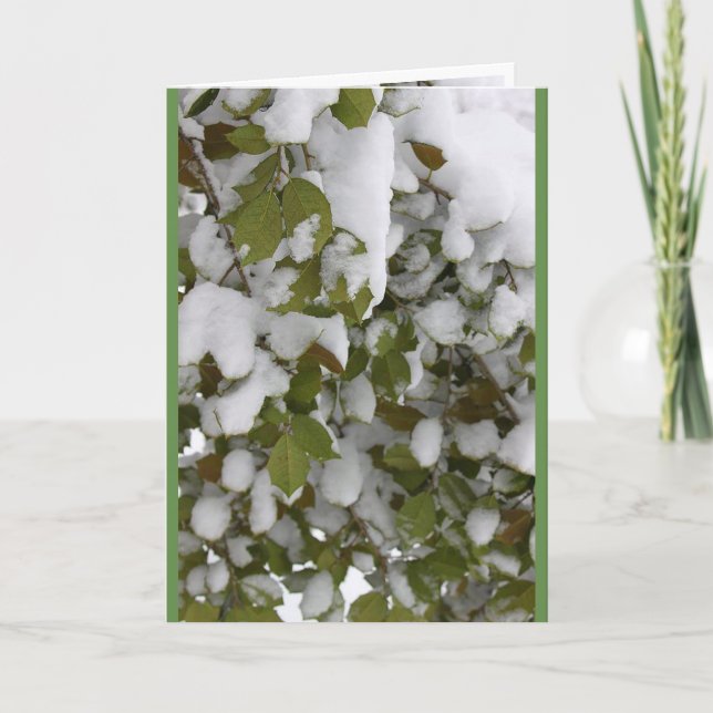 Seasons Meeting - Holly in Winter, Spring Thaw Holiday Card (Front)
