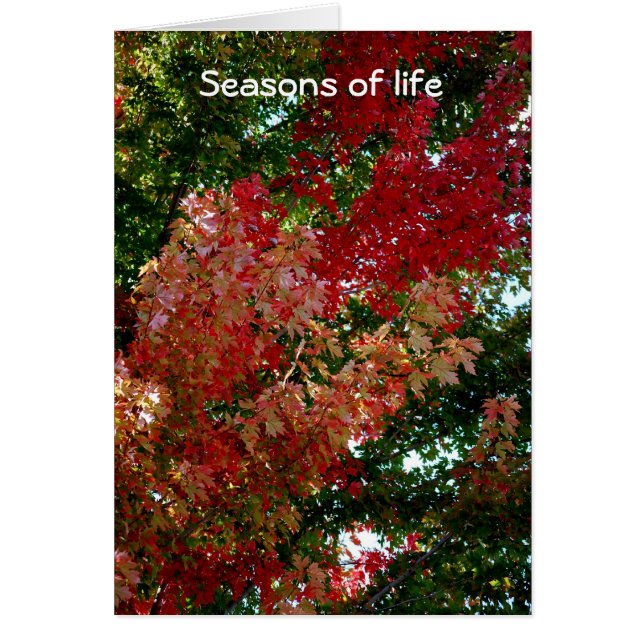 Seasons of life (Front)