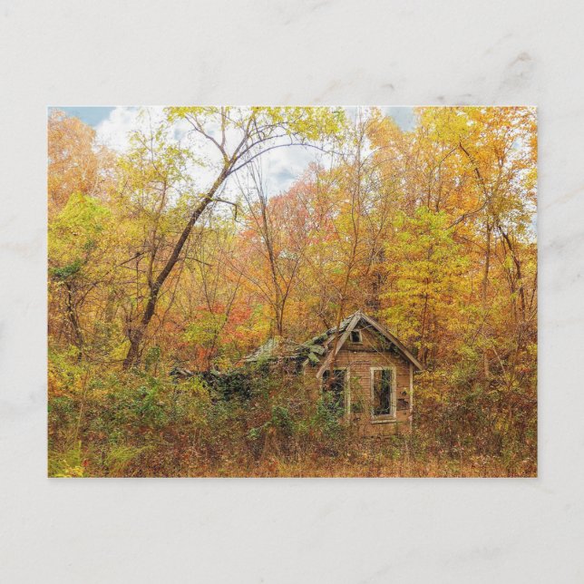 Seasons Pass Postcard (Front)