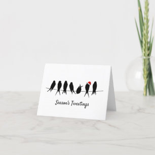 Season's Tweetings Black Birds On A Wire Holiday Card
