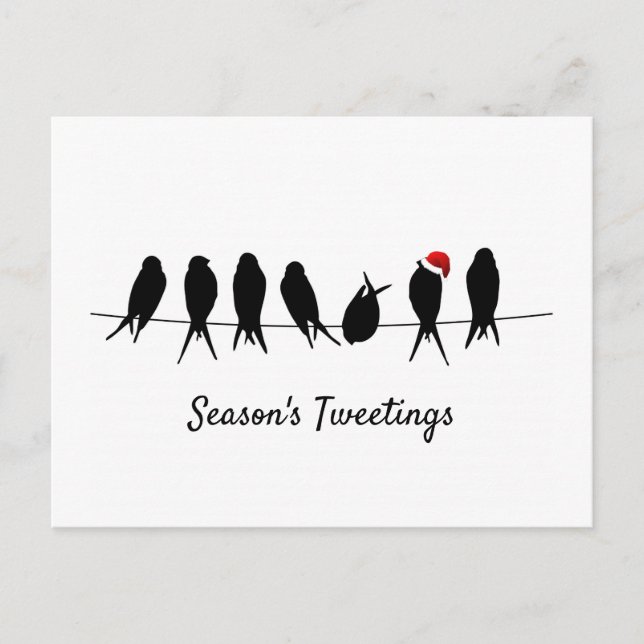 Season's Tweetings Black Birds On A Wire Holiday Postcard (Front)