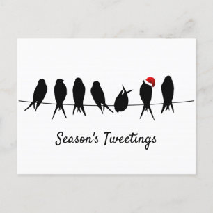 Season's Tweetings Black Birds On A Wire  Holiday Postcard