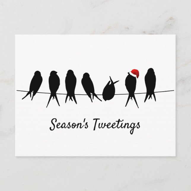 Season's Tweetings Black Birds On A Wire  Holiday Postcard (Front)