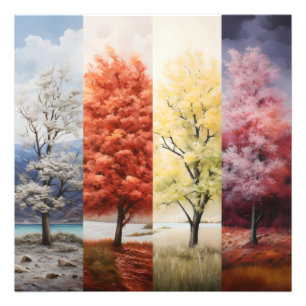 Seasons Weather Tree Colours Photo Print