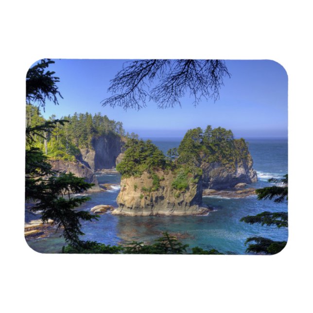 Seastacks, Makah Nation Tribal Lands, Cape Magnet (Horizontal)