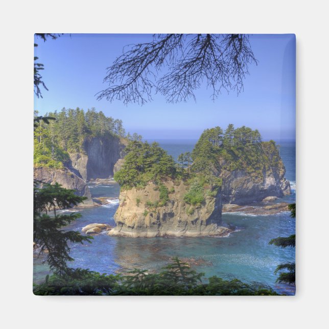 Seastacks, Makah Nation Tribal Lands, Cape Magnet (Front)