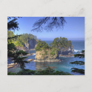 Seastacks, Makah Nation Tribal Lands, Cape Postcard