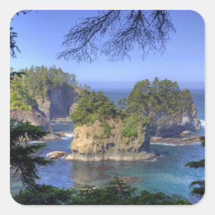 Seastacks, Makah Nation Tribal Lands, Cape Square Sticker