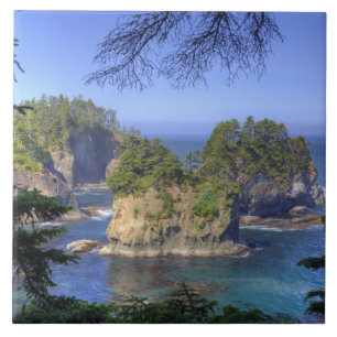 Seastacks, Makah Nation Tribal Lands, Cape Tile