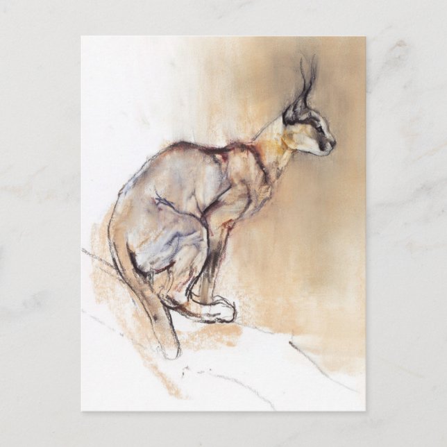 Seated Caracal 2009 Postcard (Front)