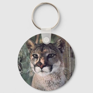 seated cougar key ring