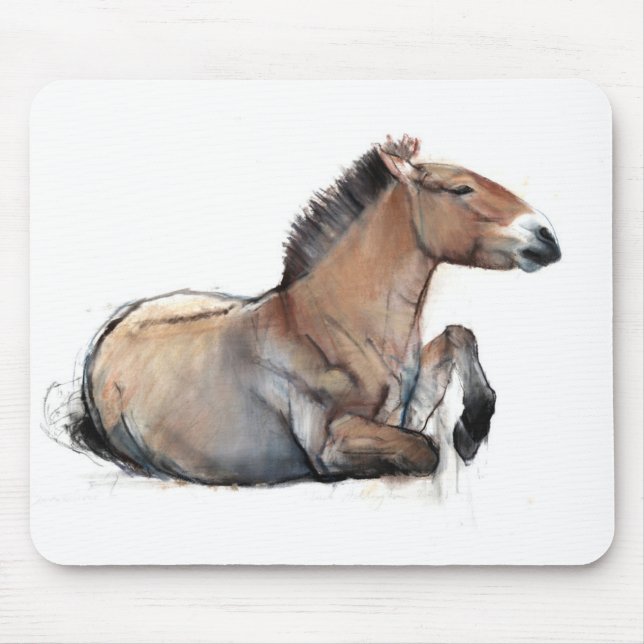 Seated Przewalski 2011 Mouse Mat (Front)