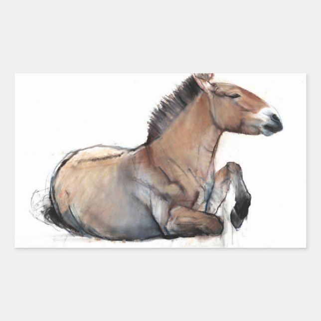 Seated Przewalski 2011 Rectangular Sticker (Front)