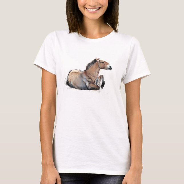 Seated Przewalski 2011 T-Shirt (Front)