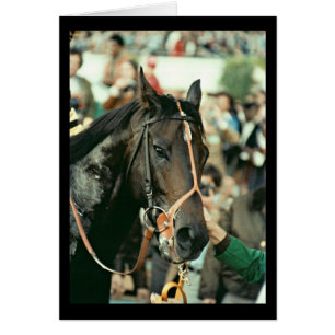 Seattle Slew Thoroughbred 1978
