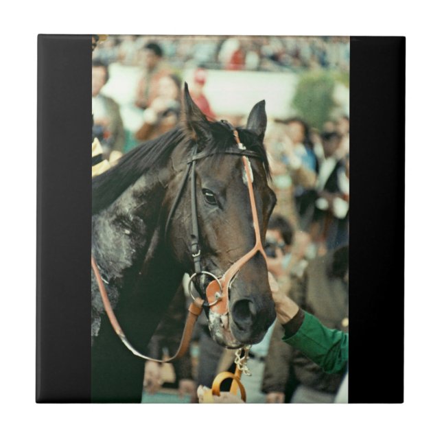 Seattle Slew Thoroughbred 1978 Tile (Front)