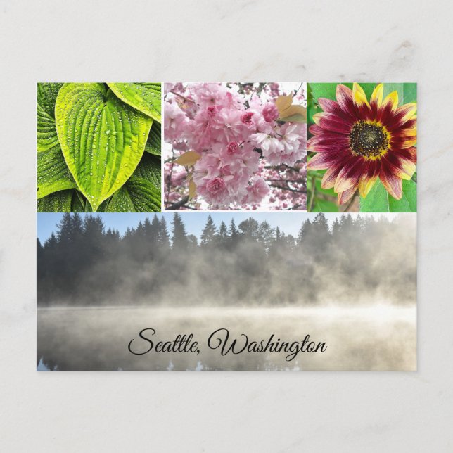 Seattle Washington Postcard (Front)