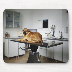 Seattle, Washington, USA 2 Mouse Mat