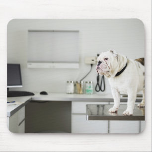 Seattle, Washington, USA Mouse Mat