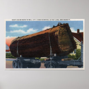 Seattle, WashingtonGiant Log en route to Mill Poster