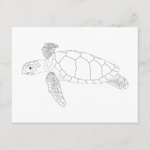 Seaturtle Adult Colouring Postcard