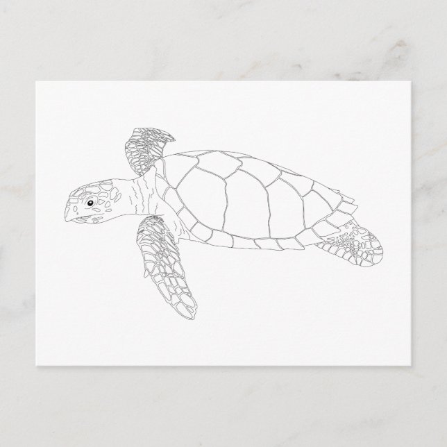 Seaturtle Adult Colouring Postcard (Front)